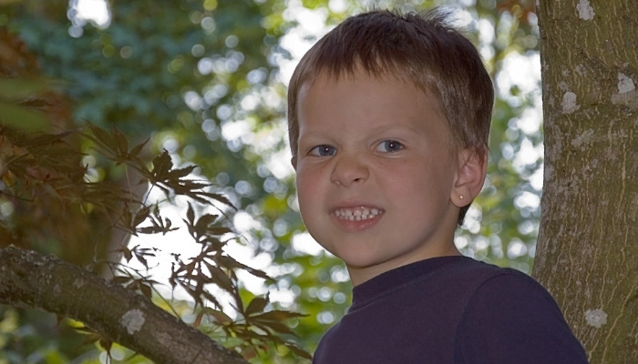 A little boy sitting in a tree snarling at the camera.