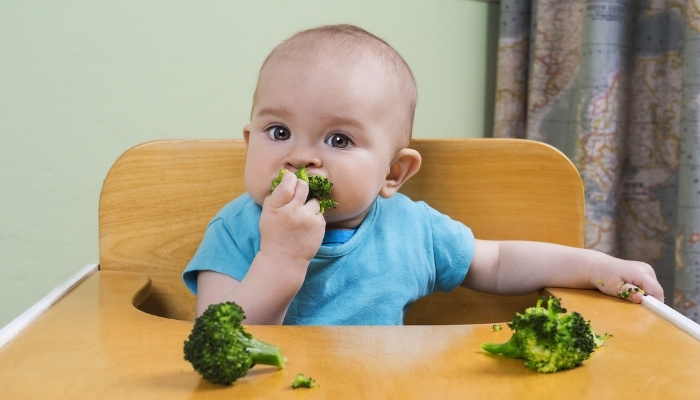 A cute baby boy sitting in a high chair eating broccoli.