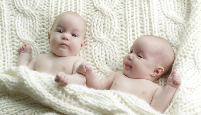 Cute infant twins lying on and covered by a white knitted blanket.