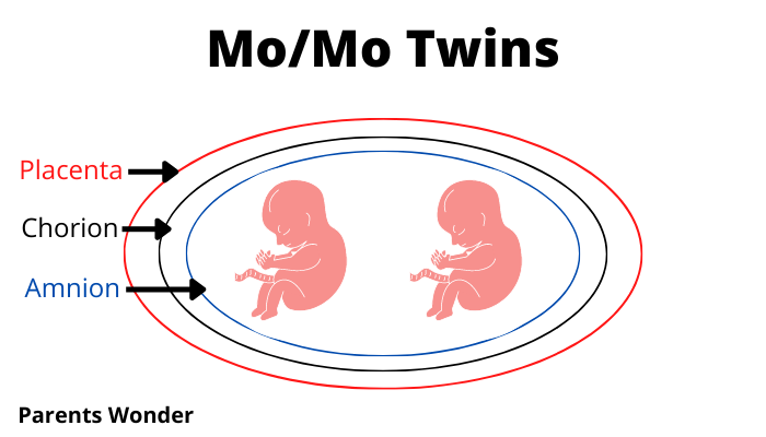 Mo/mo twins graphic