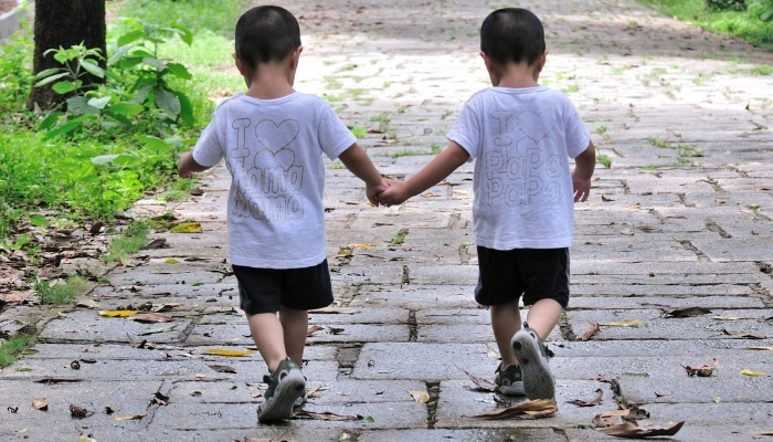 Two cute twin brothers holding hands while walking down a country lane.