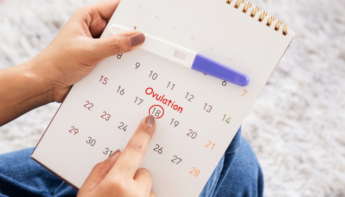 A woman holding a pregnancy test and a calendar with the day of ovulation marked clearly.